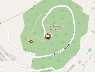 Carte de Ajorque Mathieu à Tampon (le)