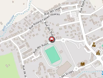 Carte de Bouvillon Marcel à Tampon (le)