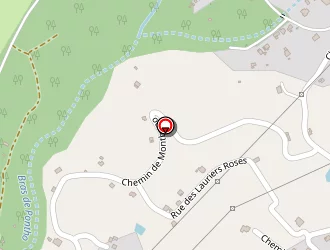 Carte de Lebon Plaquiste à Tampon (le)