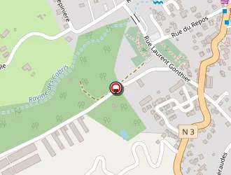 Carte de Arum S à Tampon (le)