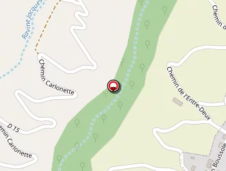 Carte de Mathis Tony à Saint-leu