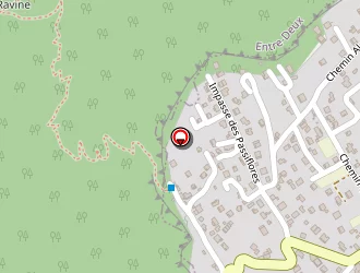 Carte de Robert Moïse à Tampon (le)