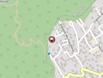 Carte de F.p.o.i à Tampon (le)