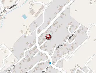 Carte de Leon David Bernard à Tampon (le)