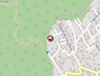 Carte de Bache Nicolas à Tampon (le)