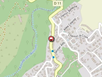 Carte de Pouillaude Jean-philippe à Avirons (les)