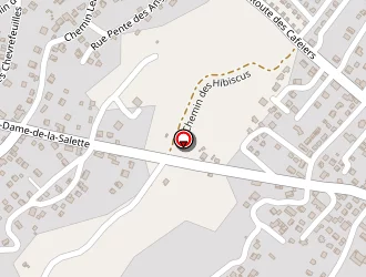 Carte de Jmtb à Tampon (le)