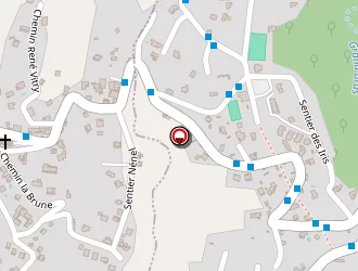 Carte de Plomb Elec+ à Saint-louis