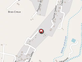 Carte de V.h.p à Tampon (le)