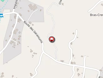 Carte de Lebon Georges à Tampon (le)