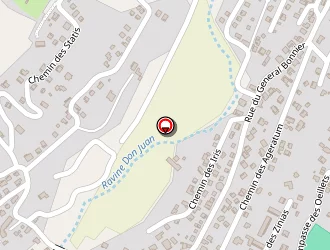 Carte de Dijoux Ricardo à Tampon (le)