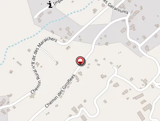 Carte de Lifting Autos à Tampon (le)