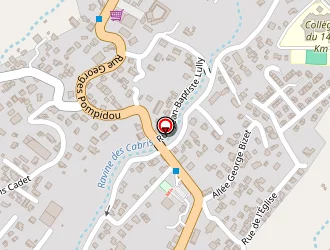 Carte de Graphologie De Bourbon à Tampon (le)