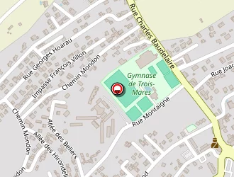 Carte de Condi Pro à Tampon (le)