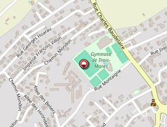 Carte de Dijoux Mimose à Tampon (le)