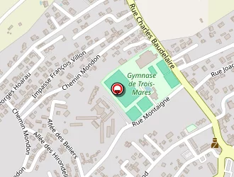 Carte de R.e.p.i à Tampon (le)