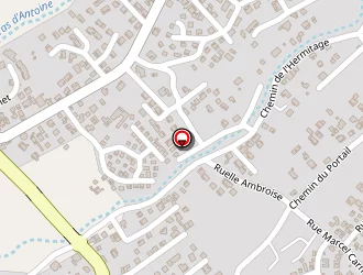 Carte de Ricaud Alain à Tampon (le)