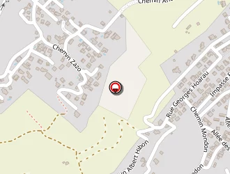 Carte de Thomas Alain à Tampon (le)