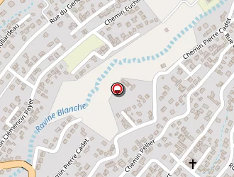 Carte de Dalleau Et Payet à Tampon (le)