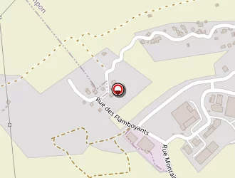 Carte de Stame à Tampon (le)