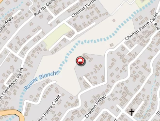 Carte de Boursillon Pascal à Tampon (le)