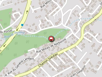 Carte de Falelavaki Stéphane à Tampon (le)