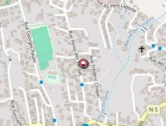 Carte de Pro Cuir à Saint-louis