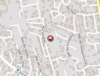 Carte de Réunion Réalisation à Saint-louis