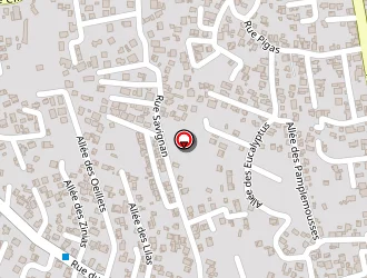 Carte de Fauret Christine à Saint-louis