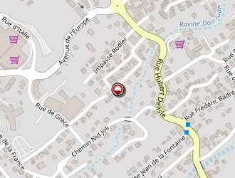 Carte de Kosmopolite à Tampon (le)