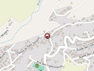 Carte de Langlade Willy à Tampon (le)