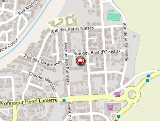 Carte de Speed Service à Saint-louis