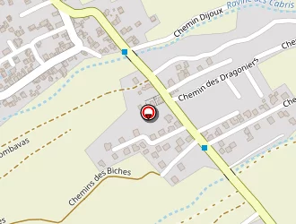 Carte de Réunion Transit à Saint-pierre