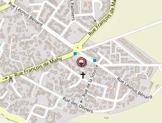 Carte de Elly Jackson à Saint-louis