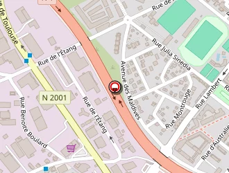 Carte de Ccas à Saint-louis