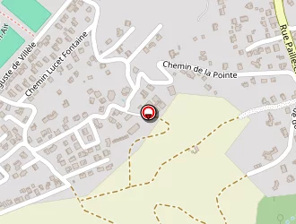 Carte de Centre Controle Technique à Tampon (le)