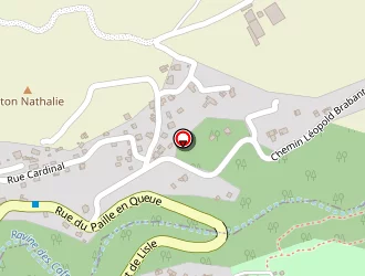 Carte de Roy Annick à Tampon (le)