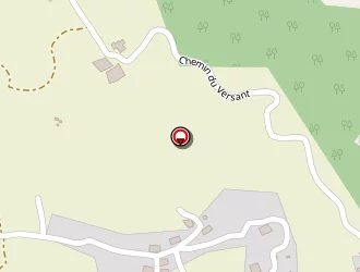 Carte de Desbois Grégory à Saint-joseph