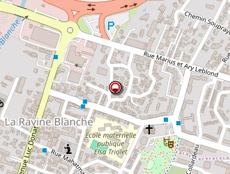 Carte de Palmier Serge à Saint-pierre