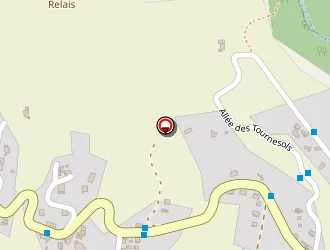 Carte de Lepinay Bianca à Petite-île