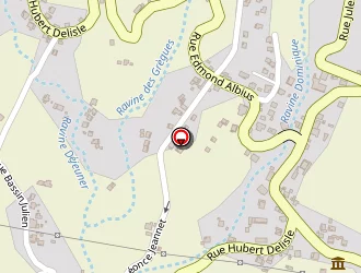 Carte de Grenier Patrick à Saint-joseph