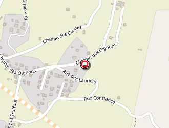 Carte de Mussard David Alexandre à Saint-joseph