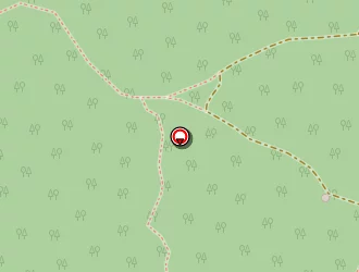 Carte de Fun Et Farniente à Diamant (le)