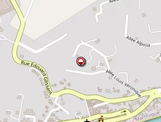 Carte de Diamant Optique à Diamant (le)