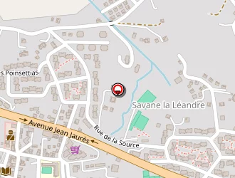 Carte de Institut Caraïbes De Parapsychologie à Ducos