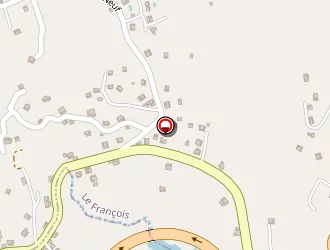 Carte de Picotel Services Info Plus à François (le)