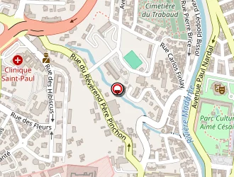 Carte de Délégation Académique à L éducation Artistique Et Culturelle (daac) à Fort-de-france