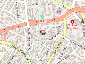 Carte de Dib Sonia à Fort-de-france