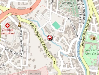 Carte de Lionge Monga Moko Antoine à Fort-de-france