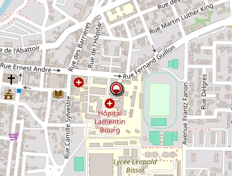 Carte de Baticolor à Lamentin (le)